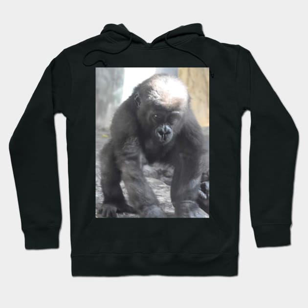 Western Lowland Gorilla baby Hoodie by Sharonzoolady